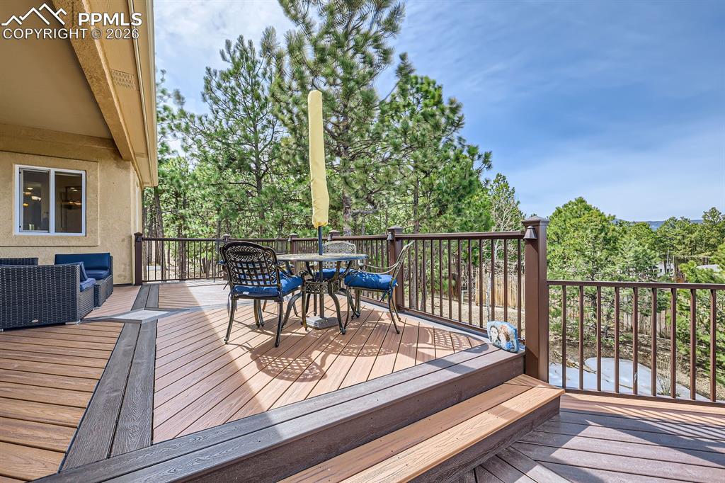 17572 Saddle Ridge Court Monument CO 80132