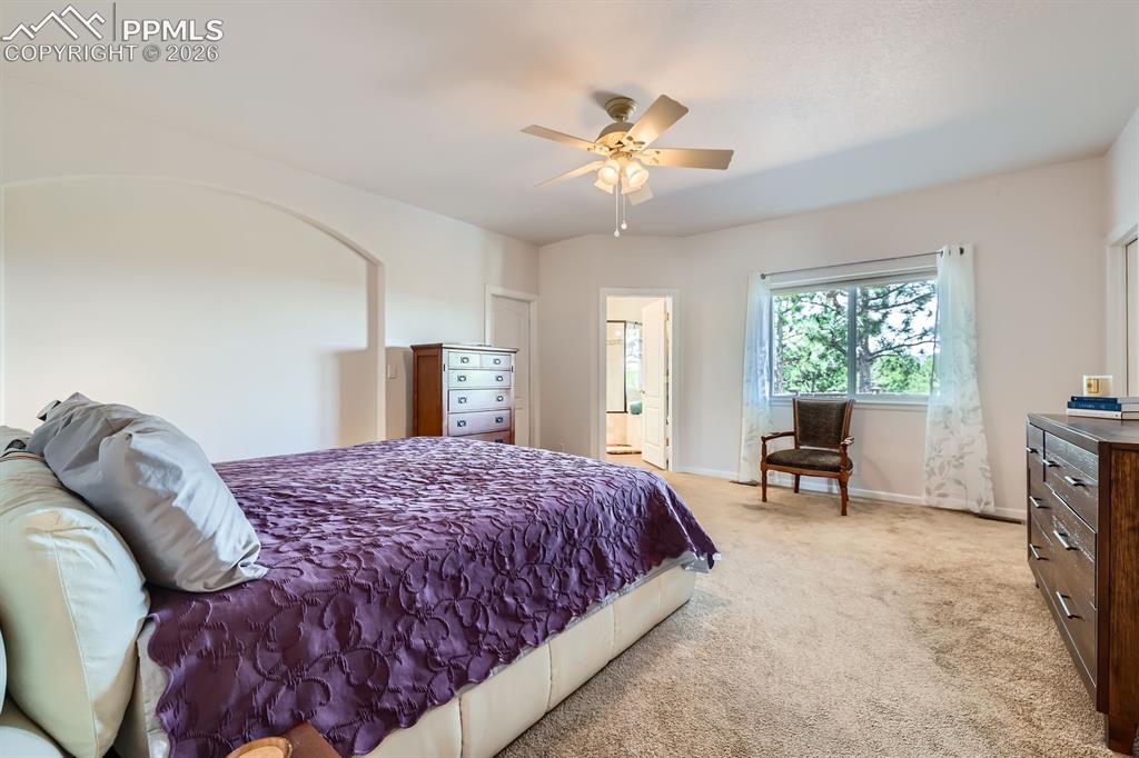 17572 Saddle Ridge Court Monument CO 80132