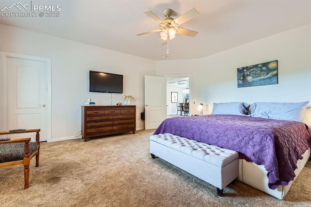 17572 Saddle Ridge Court Monument CO 80132