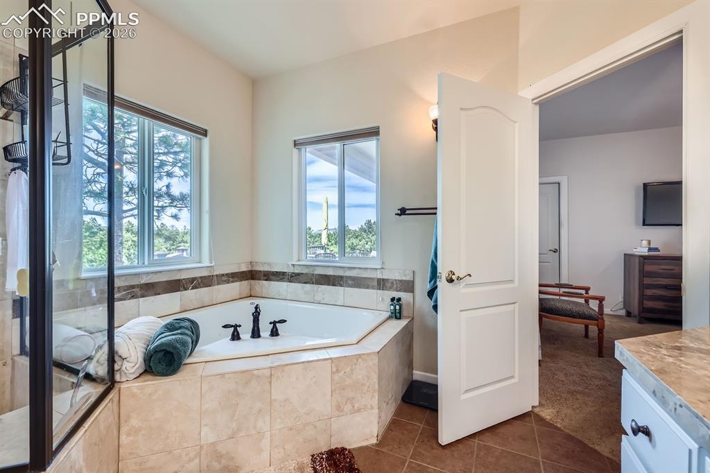 17572 Saddle Ridge Court Monument CO 80132