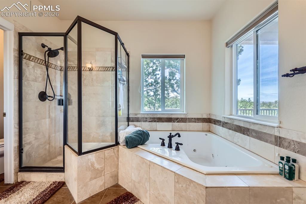 17572 Saddle Ridge Court Monument CO 80132