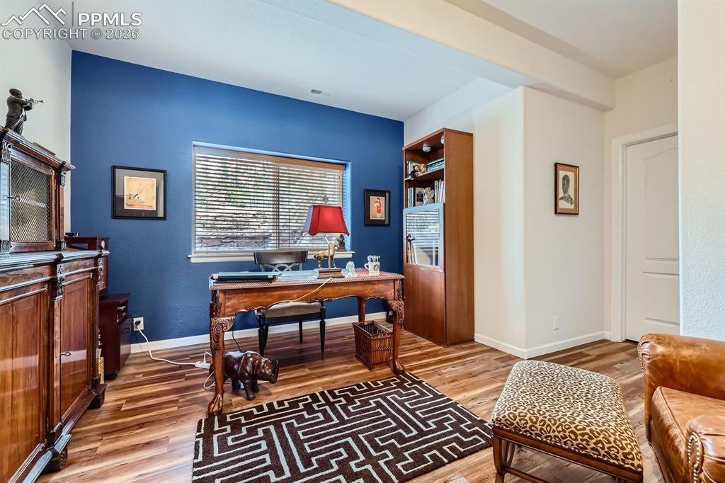 17572 Saddle Ridge Court Monument CO 80132