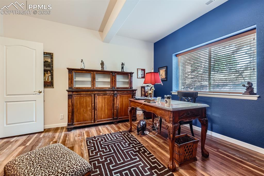 17572 Saddle Ridge Court Monument CO 80132