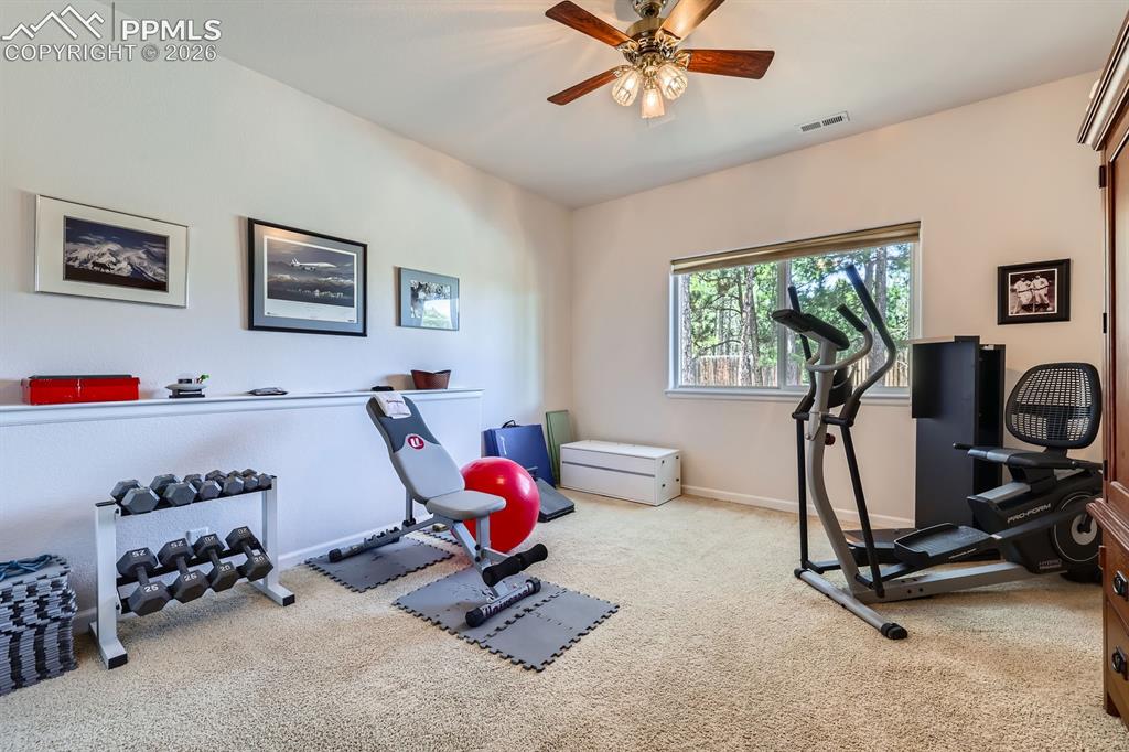17572 Saddle Ridge Court Monument CO 80132