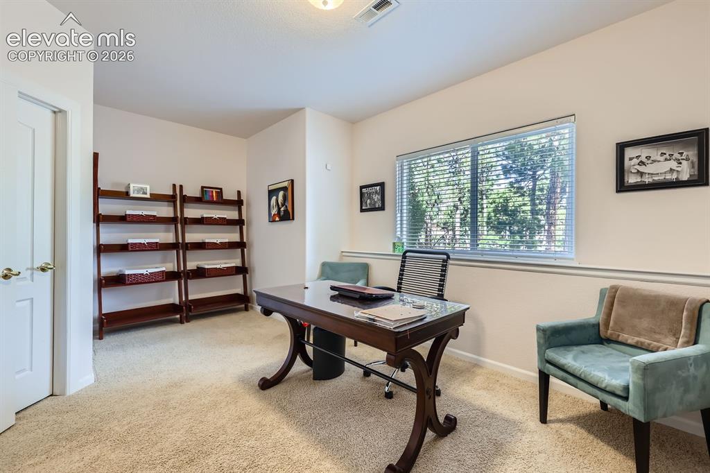 17572 Saddle Ridge Court Monument CO 80132