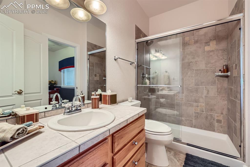 17572 Saddle Ridge Court Monument CO 80132