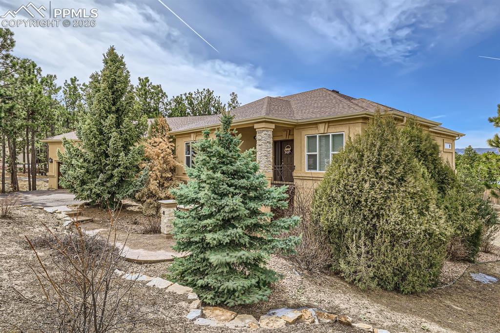 17572 Saddle Ridge Court Monument CO 80132
