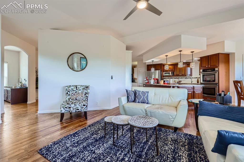 17572 Saddle Ridge Court Monument CO 80132
