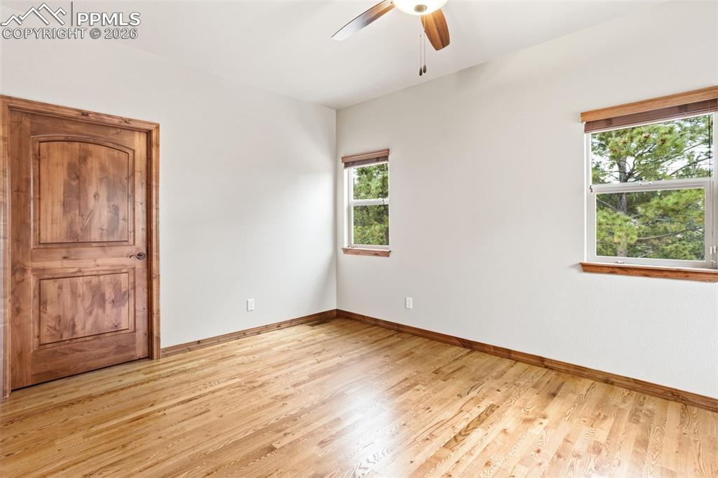 16242 Timber Meadow Drive Colorado Springs CO 80908