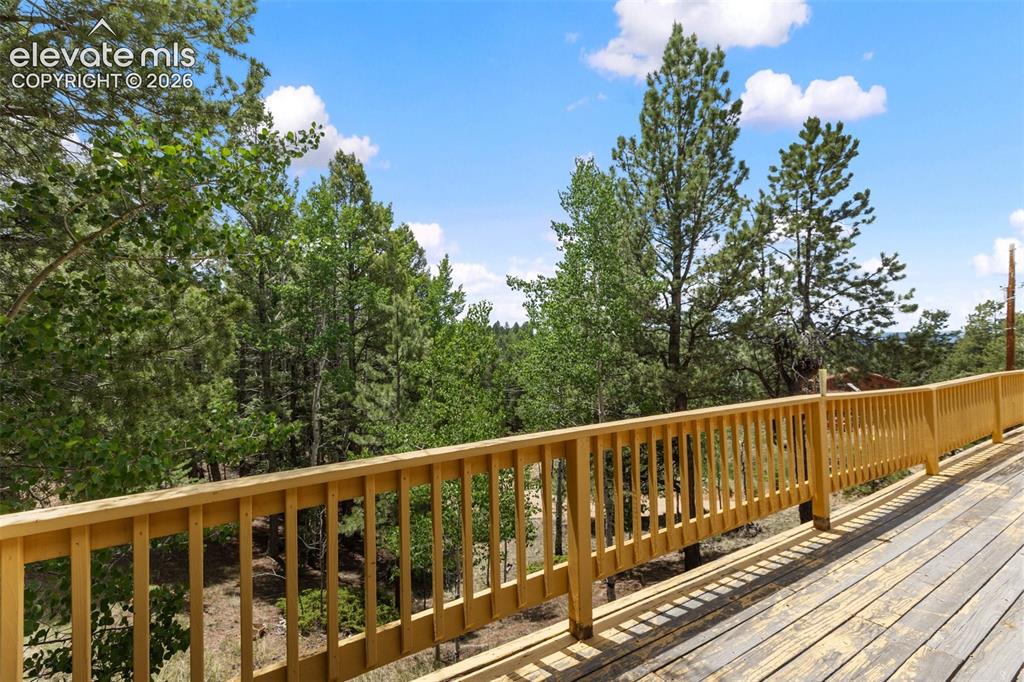 124 Cradle Lake Drive Divide CO 80814