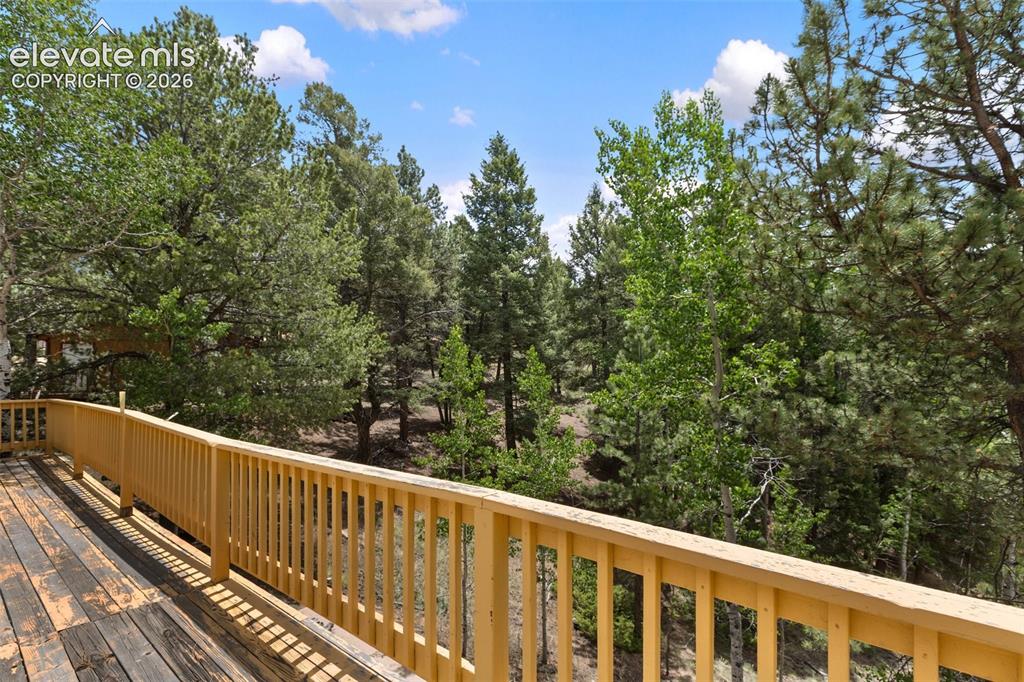 124 Cradle Lake Drive Divide CO 80814