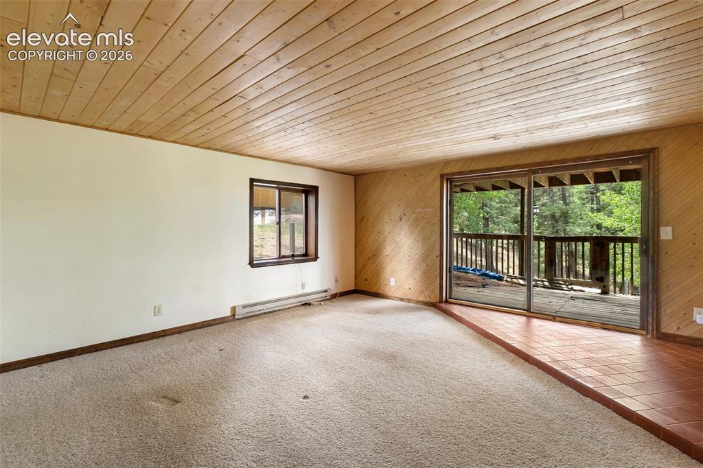 124 Cradle Lake Drive Divide CO 80814