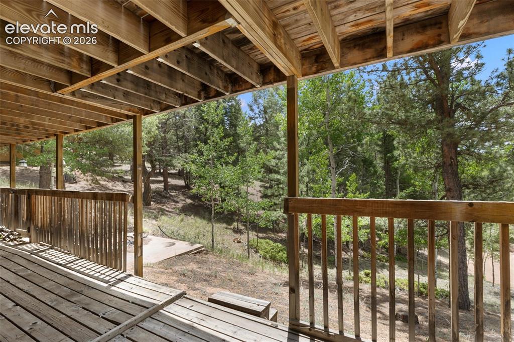124 Cradle Lake Drive Divide CO 80814