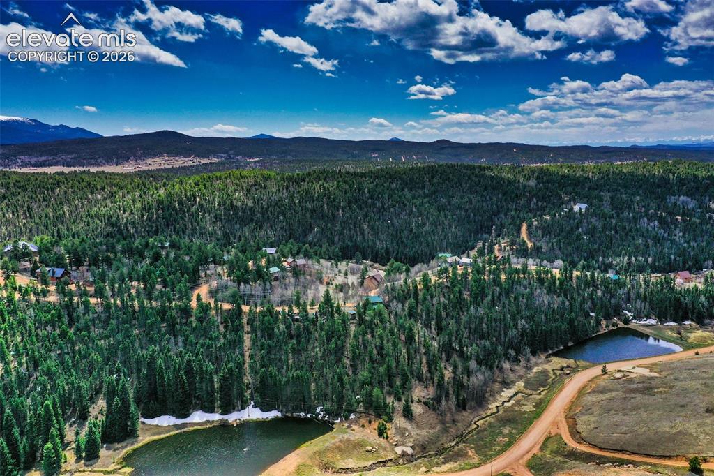 124 Cradle Lake Drive Divide CO 80814