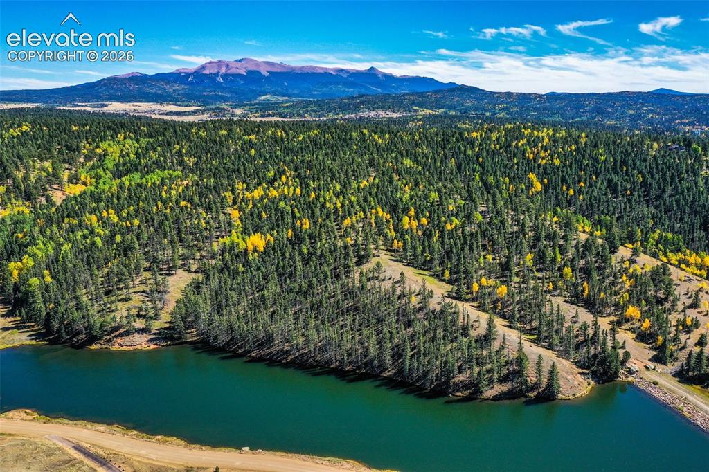 124 Cradle Lake Drive Divide CO 80814
