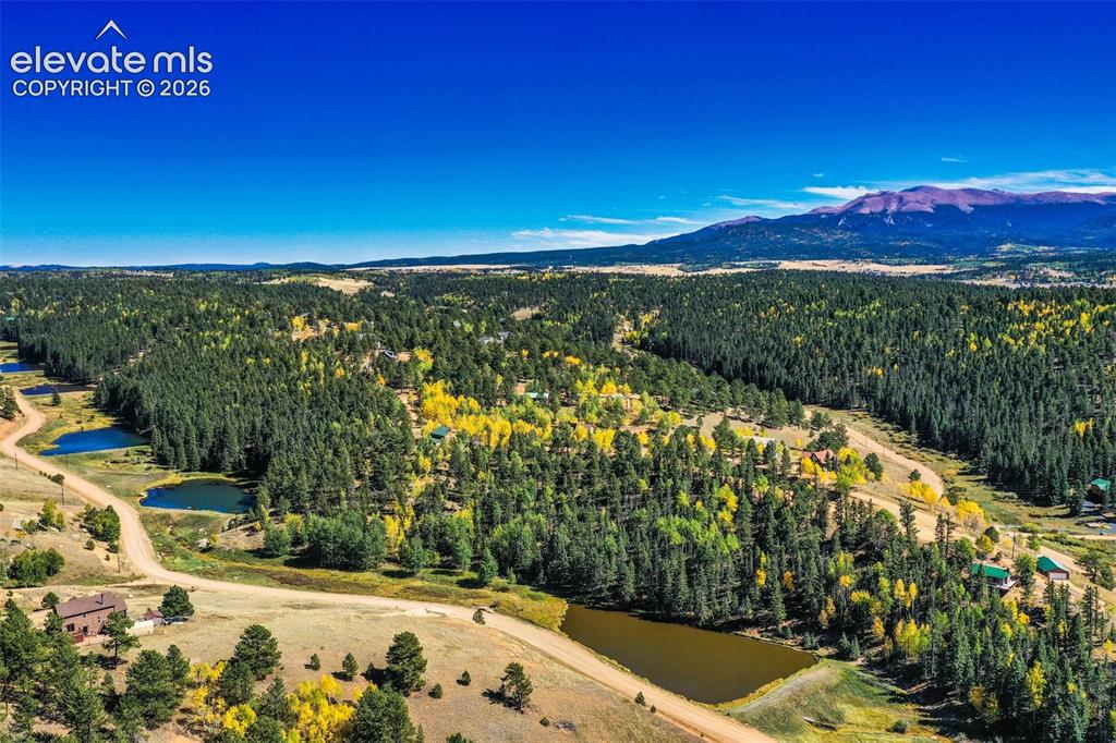 124 Cradle Lake Drive Divide CO 80814
