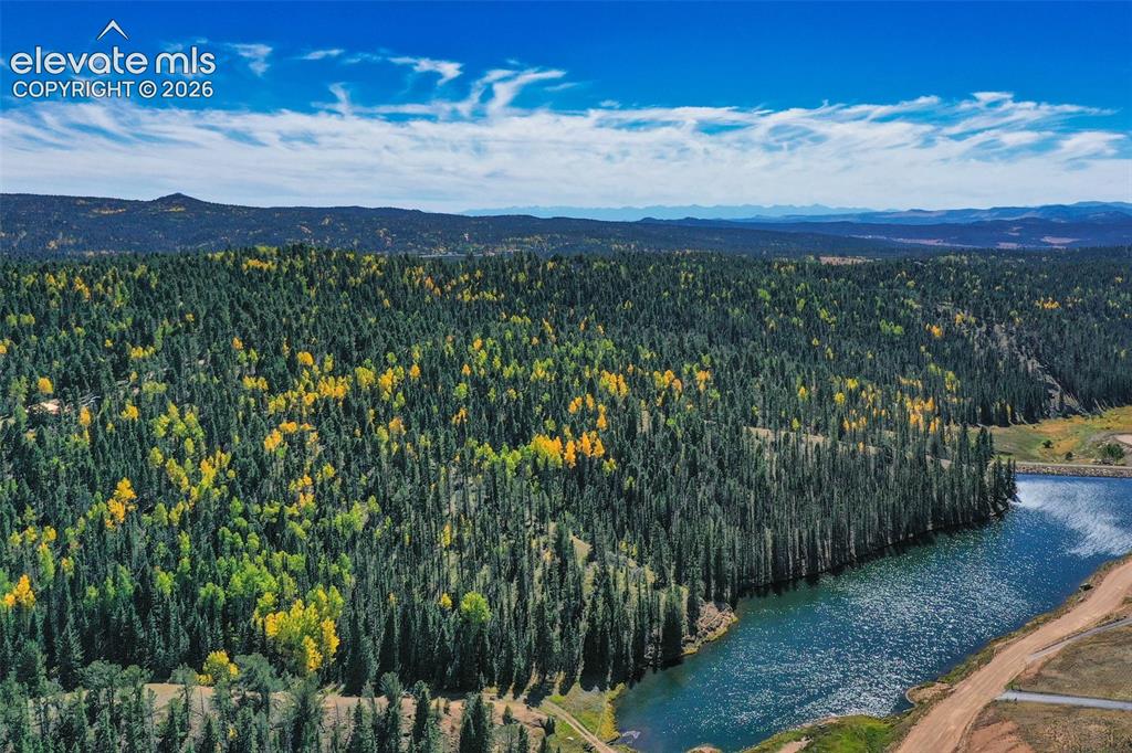 124 Cradle Lake Drive Divide CO 80814