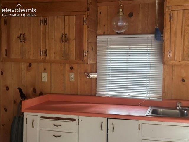 135 Mount Massive Road Florissant CO 80816