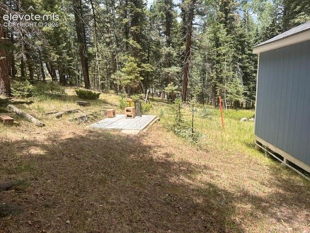 135 Mount Massive Road Florissant CO 80816