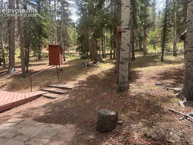 135 Mount Massive Road Florissant CO 80816