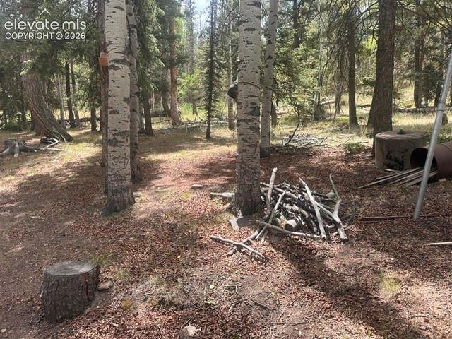 135 Mount Massive Road Florissant CO 80816