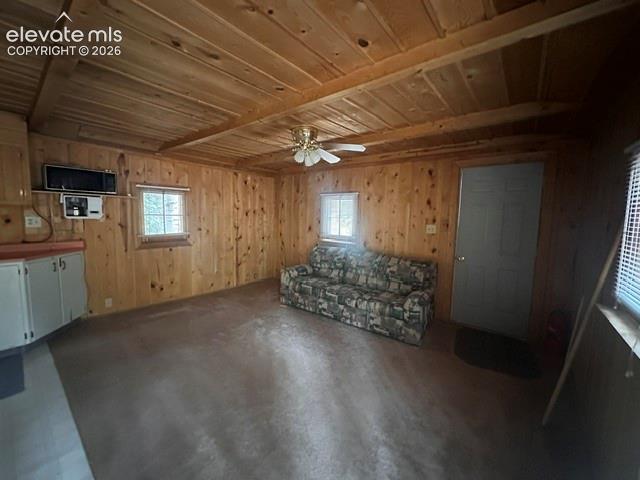 135 Mount Massive Road Florissant CO 80816