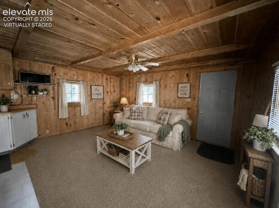 135 Mount Massive Road Florissant CO 80816