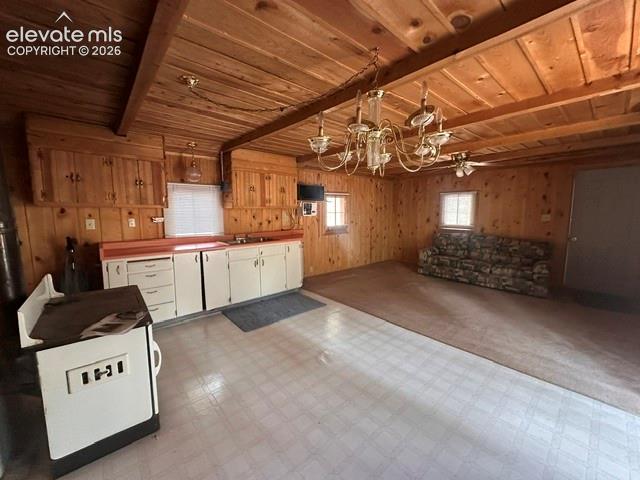 135 Mount Massive Road Florissant CO 80816