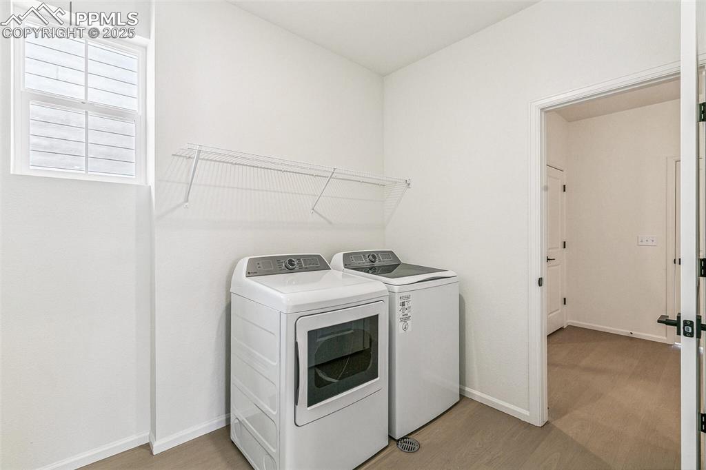 4371 Soapberry Place Castle Rock CO 80108