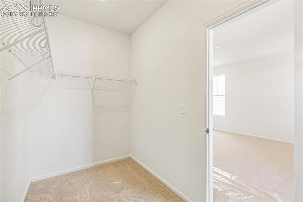 4371 Soapberry Place Castle Rock CO 80108