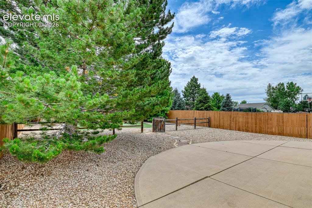 3385 Viero Drive Colorado Springs CO 80916
