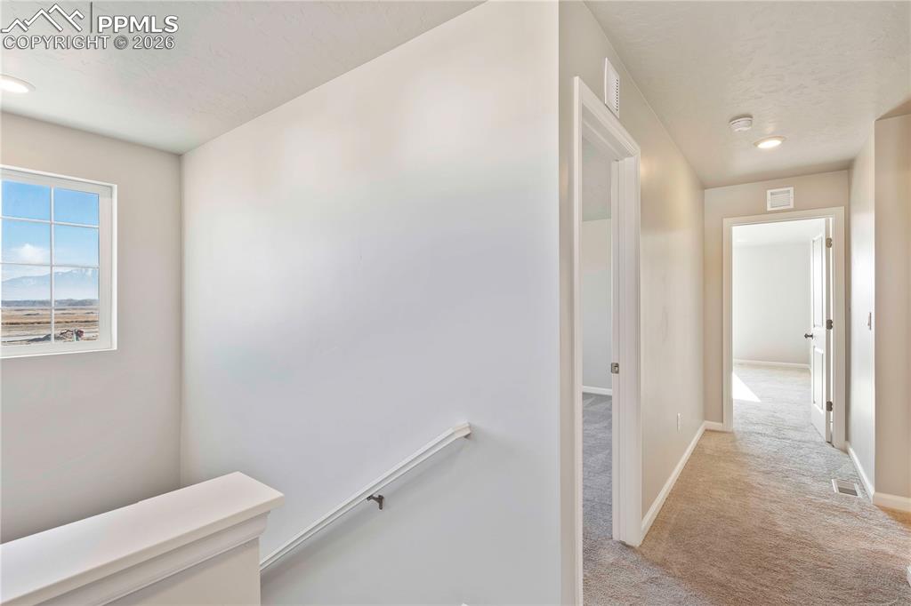 4956 Eddleman Court Colorado Springs CO 80925