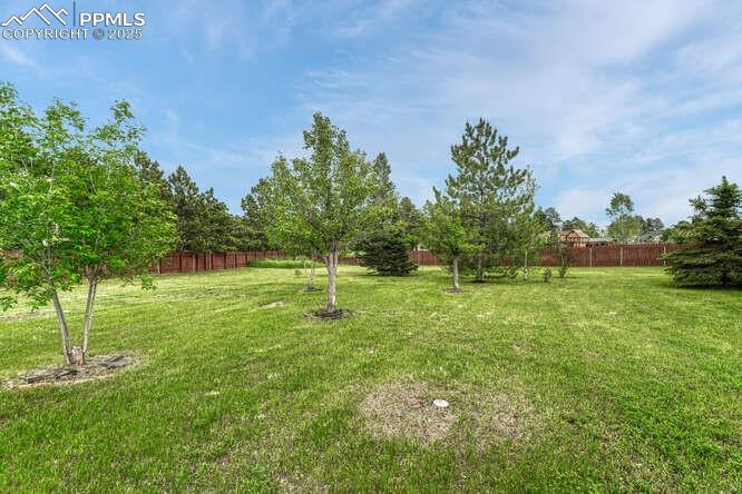 745 Platt Lane Palmer Lake CO 80133