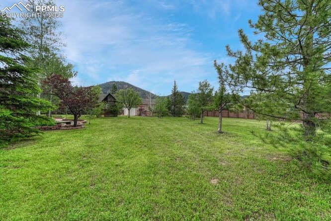 745 Platt Lane Palmer Lake CO 80133