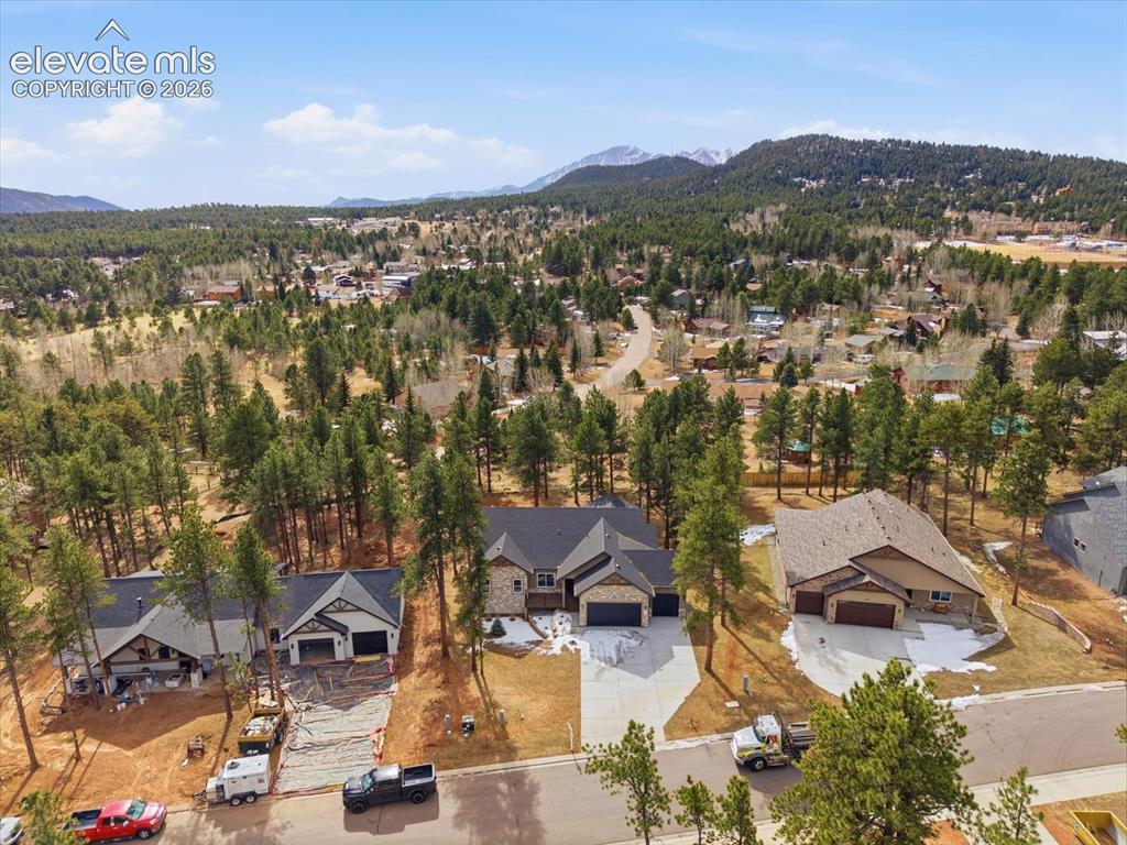1283 Firestone Drive Woodland Park CO 80863