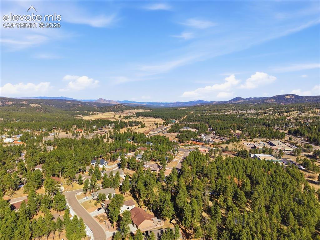 1283 Firestone Drive Woodland Park CO 80863