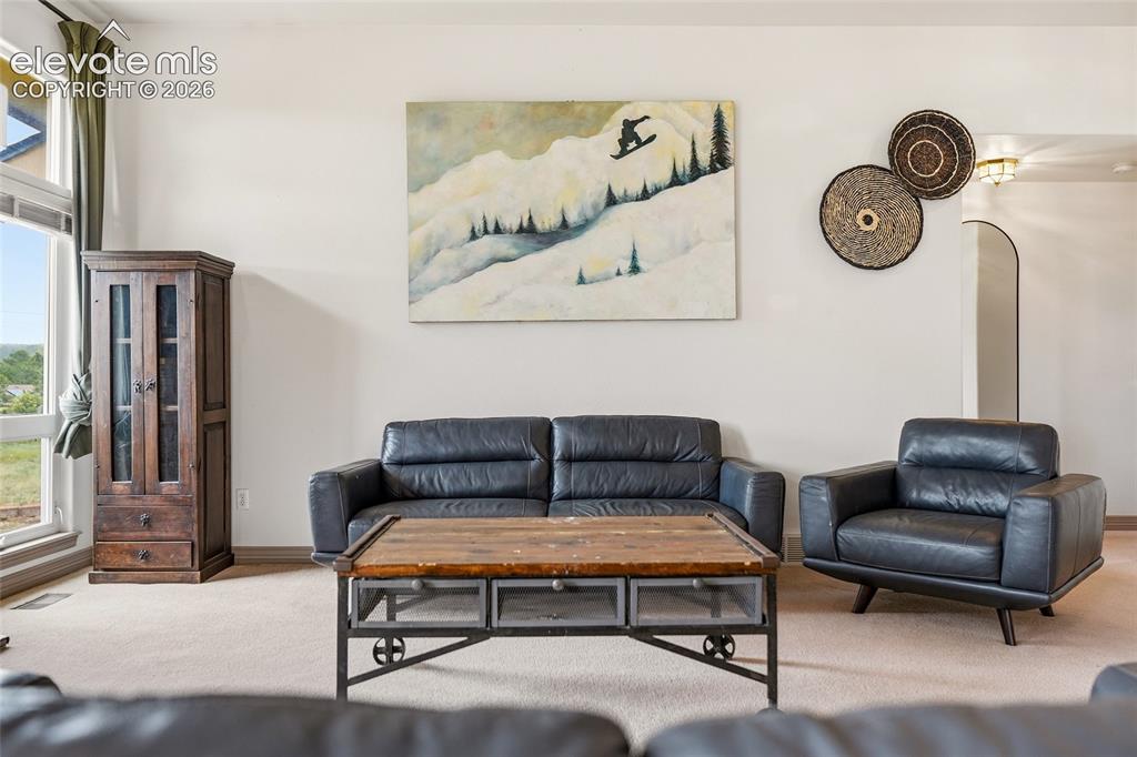 17955 Tom Boy Way Monument CO 80132