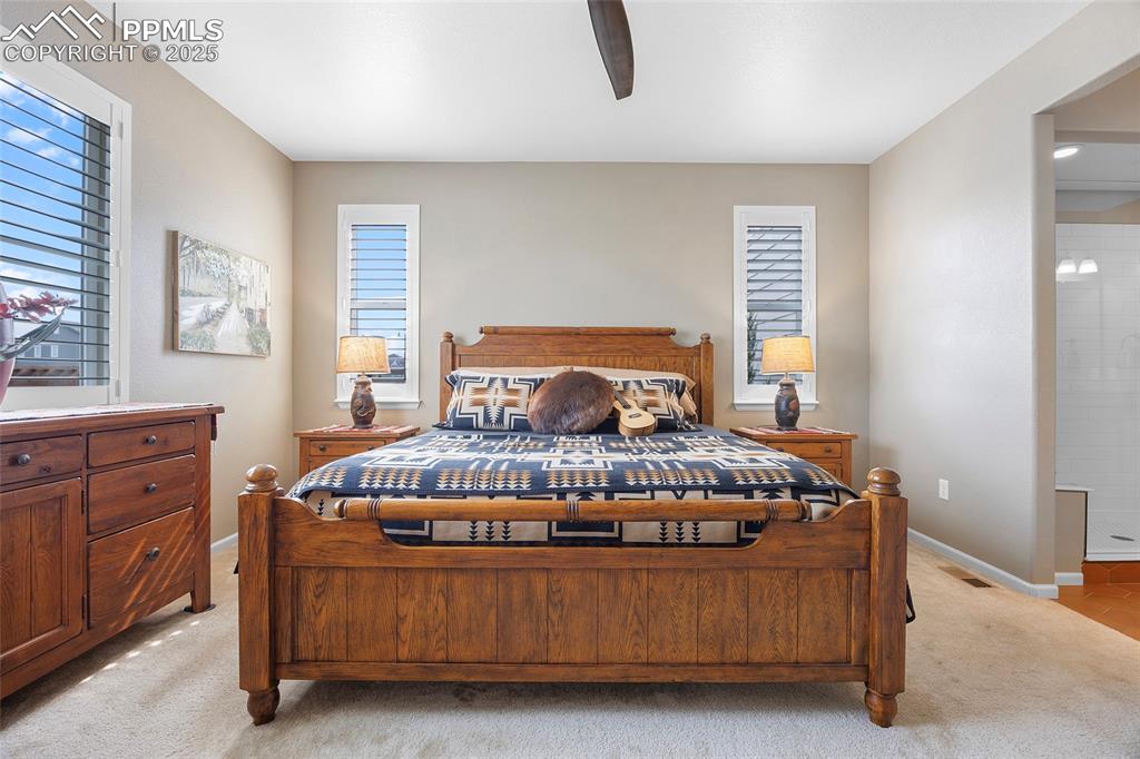 6324 Leilani Drive Castle Rock CO 80108