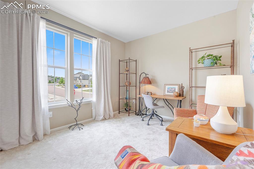 6324 Leilani Drive Castle Rock CO 80108