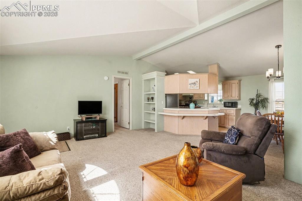 301 E Longbow Drive Divide CO 80814