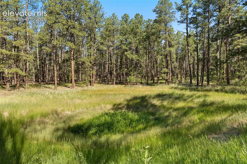 7005 Shoup Road Colorado Springs CO 80908
