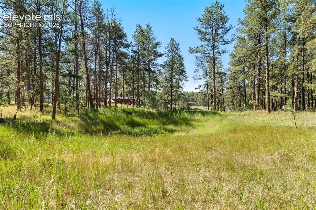 7005 Shoup Road Colorado Springs CO 80908