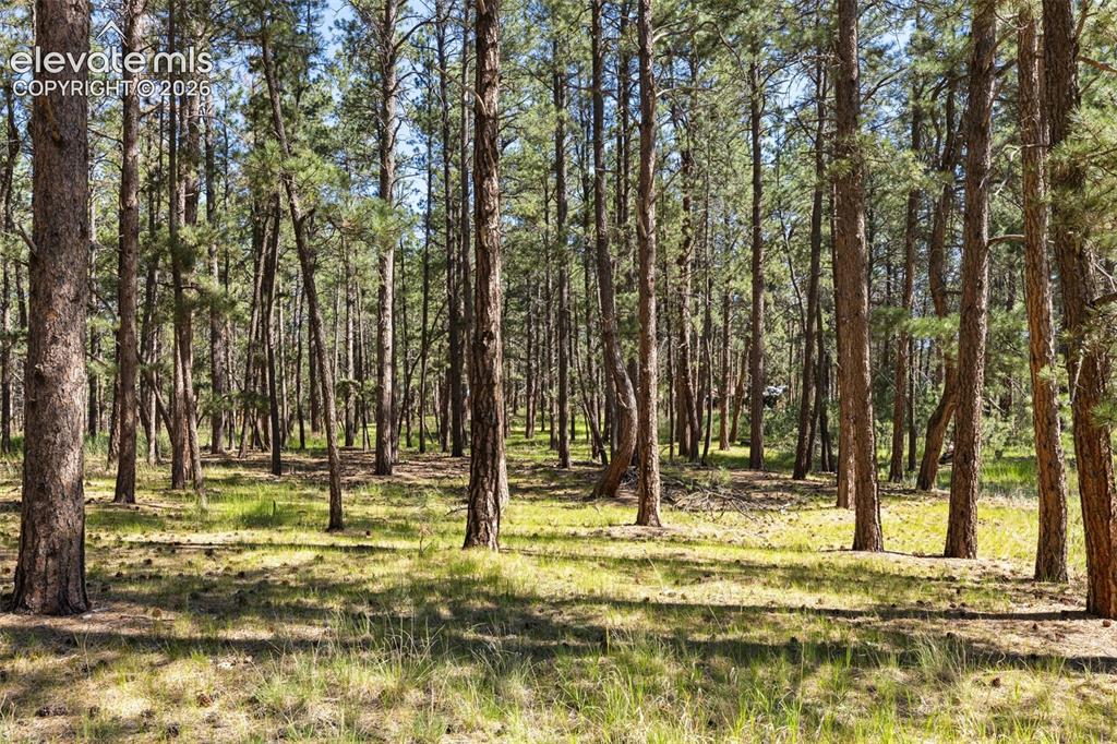 7005 Shoup Road Colorado Springs CO 80908