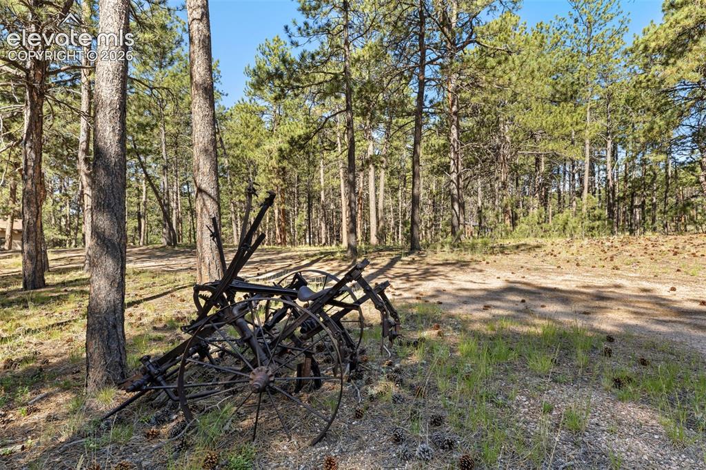 7005 Shoup Road Colorado Springs CO 80908