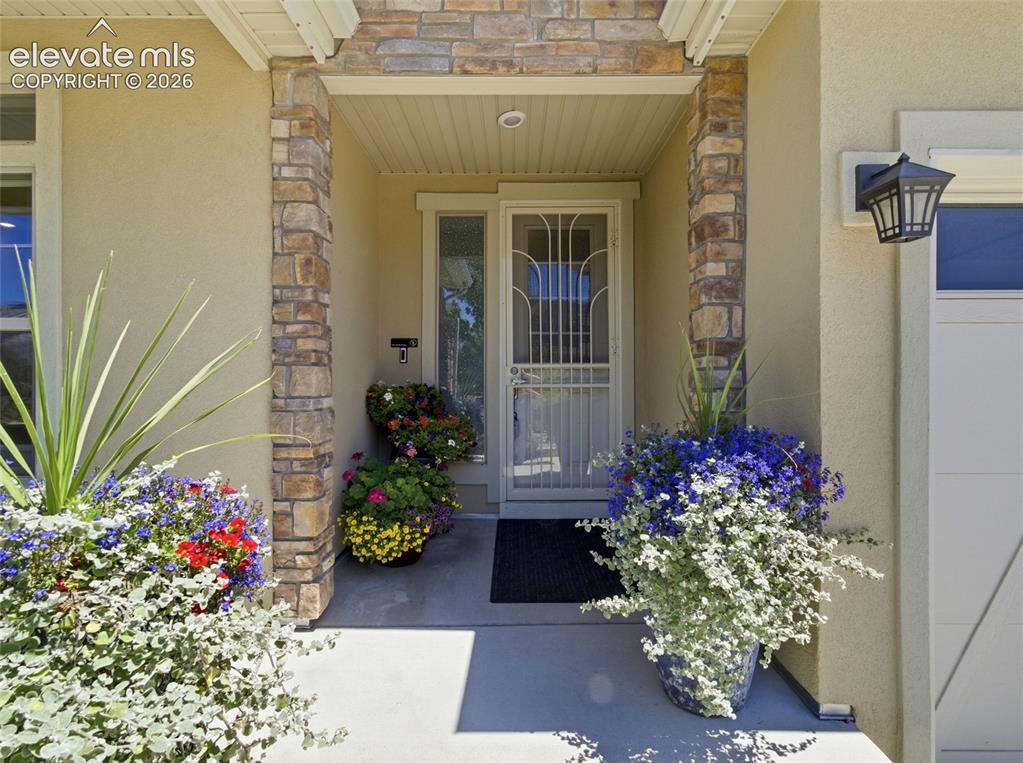 4976 Malaya Street Denver CO 80249