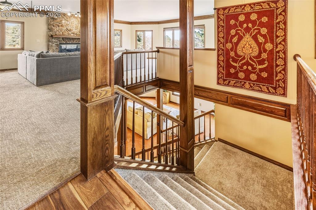 2771 Rigel Drive Colorado Springs CO 80906