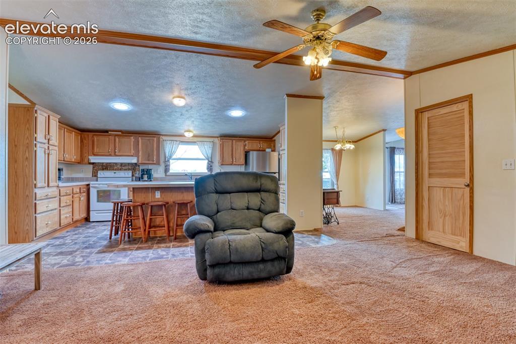 9672 Avenida Hermosa View Fountain CO 80817