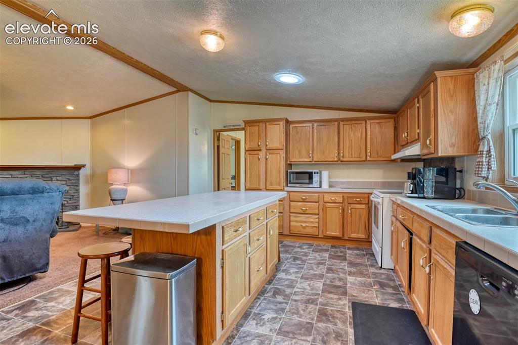 9672 Avenida Hermosa View Fountain CO 80817
