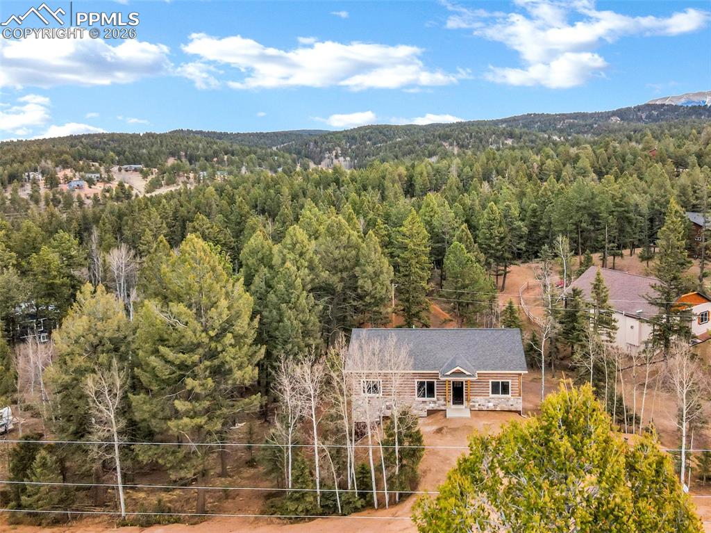 1279 N Mountain Estates Road Florissant CO 80816