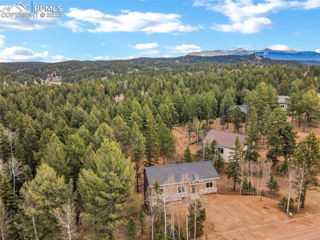 1279 N Mountain Estates Road Florissant CO 80816